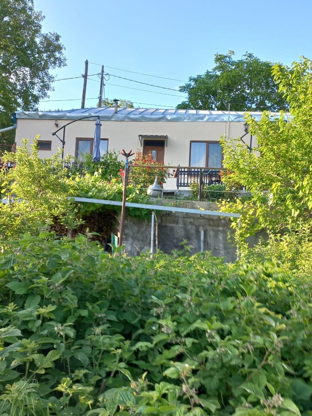 Ana-Maria Bnb Bed & Breakfast Tat'ev Eksteriør bilde