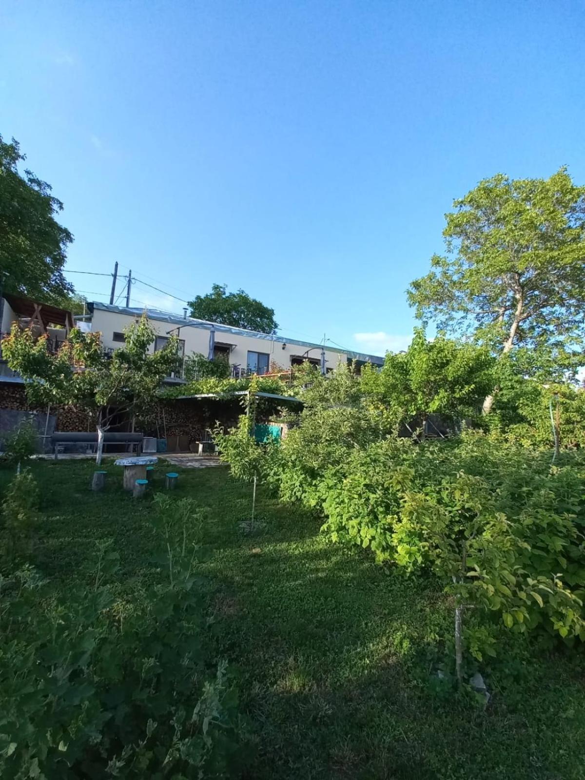 Ana-Maria Bnb Bed & Breakfast Tat'ev Eksteriør bilde